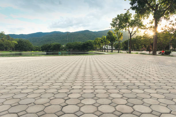 Best Driveway Paving Contractor  in Grandy, NC